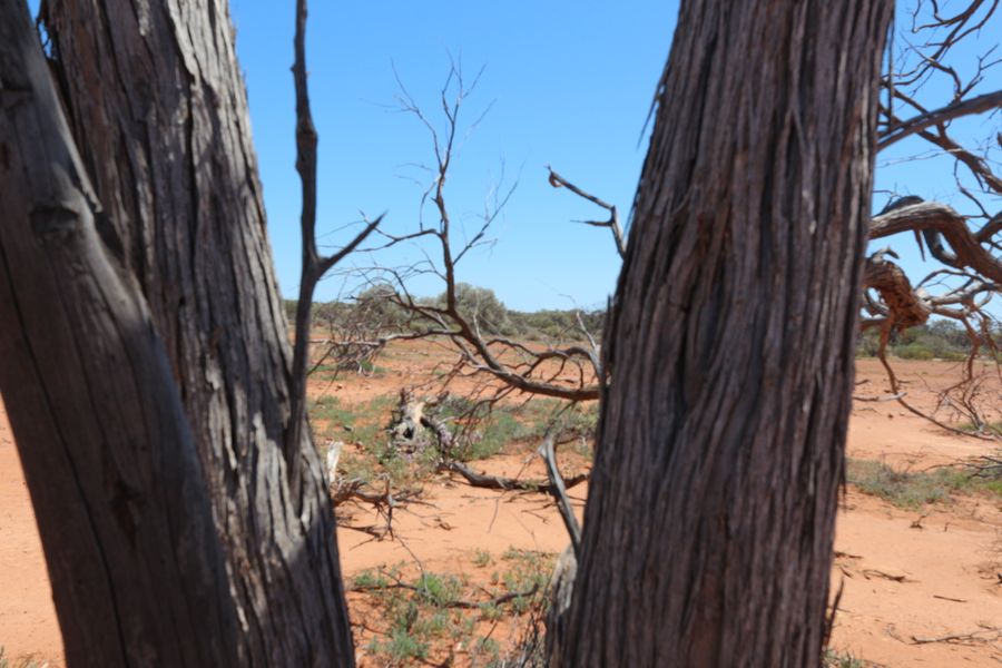Western Australia Kerber Station