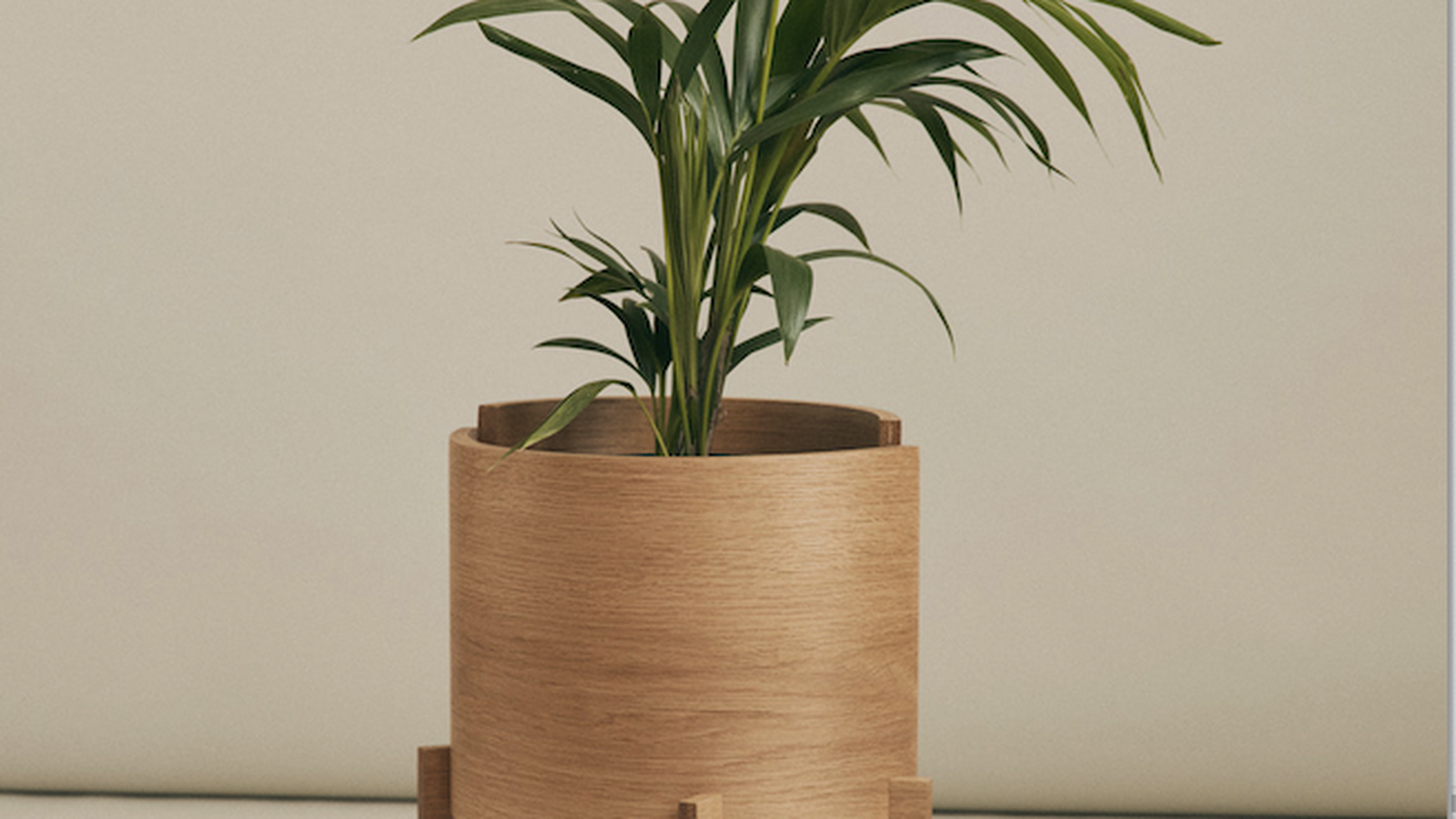 A tall wooden planter on a wooden stand with a green palm plant inside
