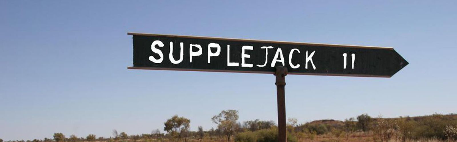 RFDS (Queensland Section) assist four-year-old bitten by snake