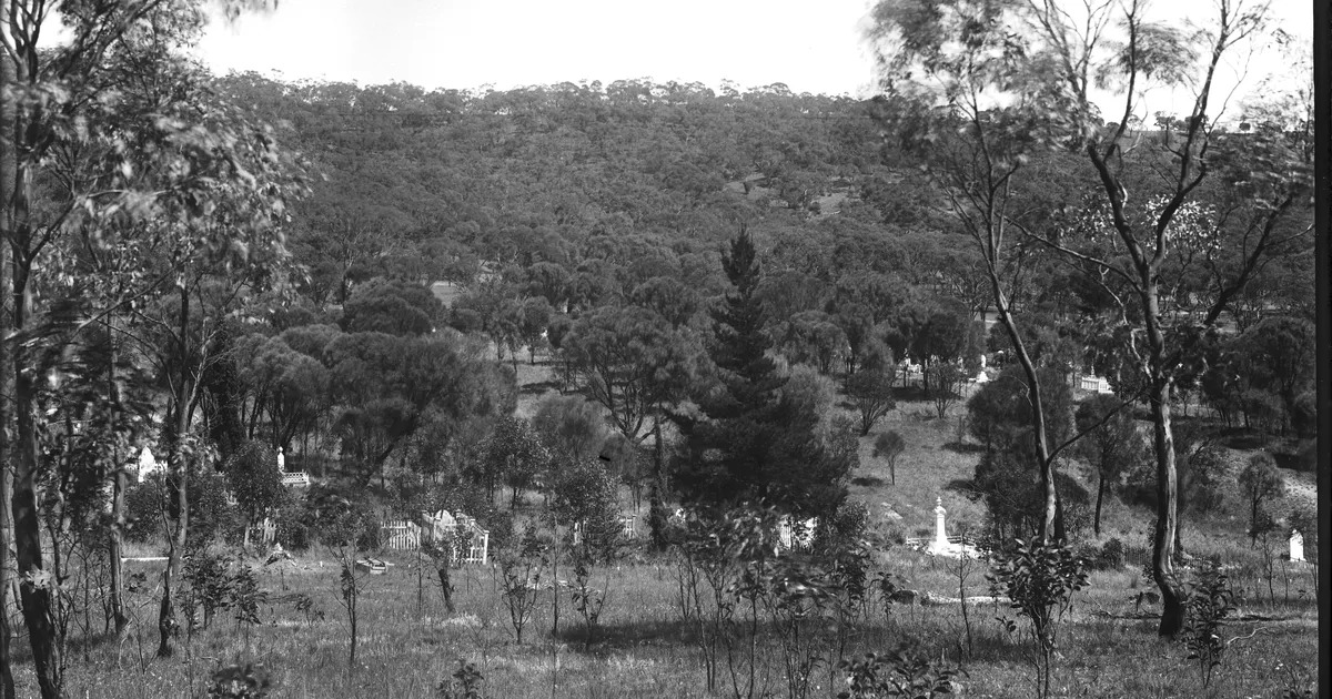 View of rural cemetery - AGSA Collection