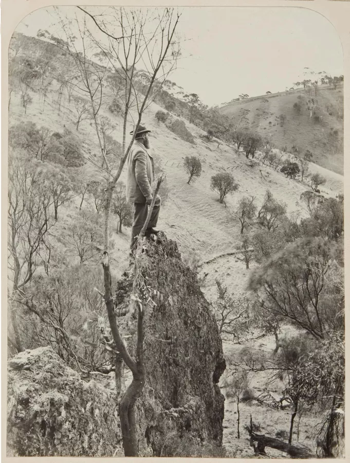 The monument, Spring Gully - AGSA Collection
