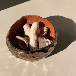 A terracotta bowl containing shells and coral