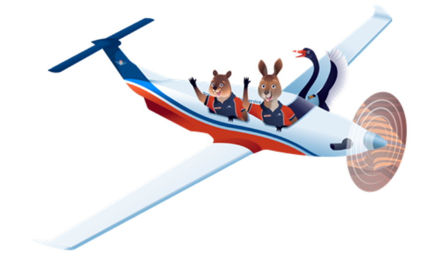 FDD Characters in RFDS plane