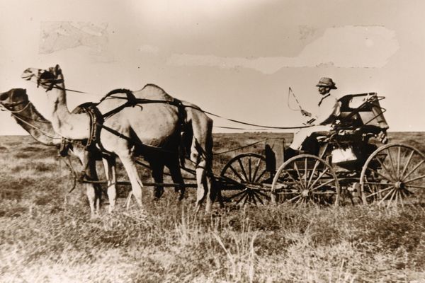 The story of Jimmy Darcy and his horse