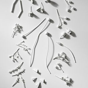 "Collection of white metal pendants made to referencing Australian native flora