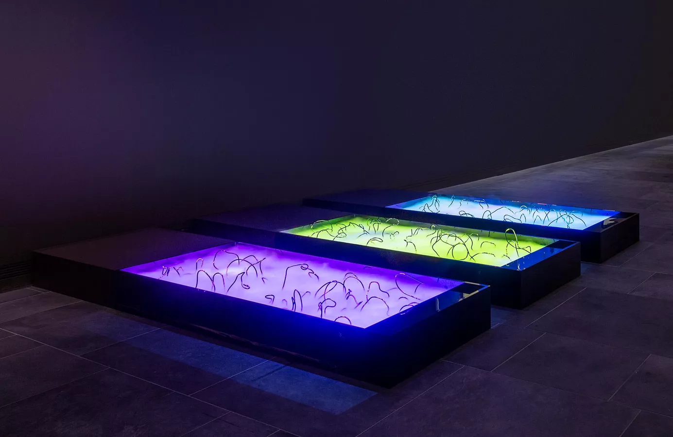 Ramsay Art prize 2021