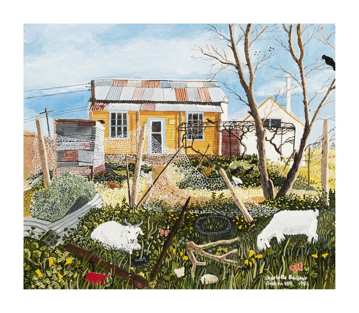 Image of Richardson's back yard