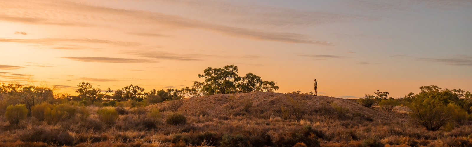 A new eye for talent in the Outback Explorer Competition