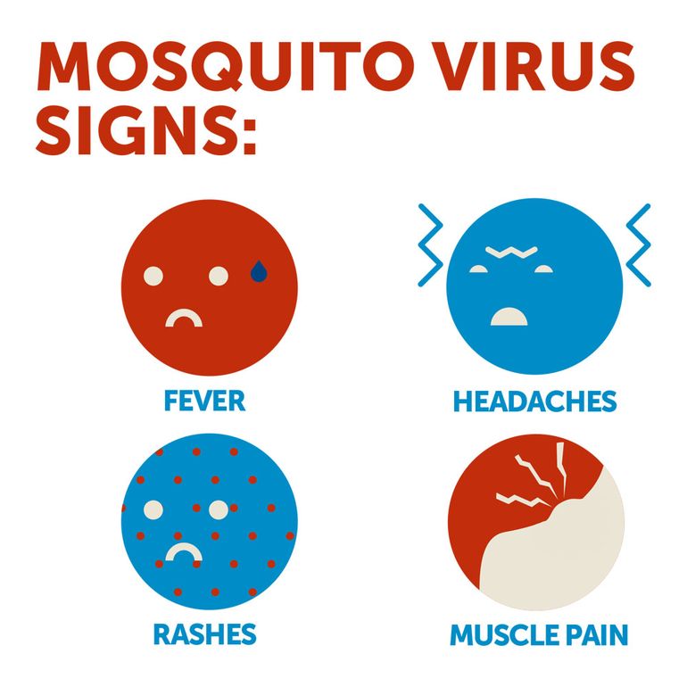 Mosquito Illness