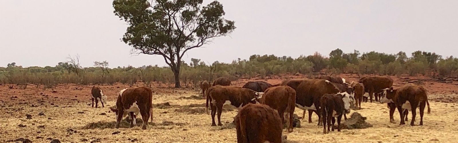 Pimpara Lake Station