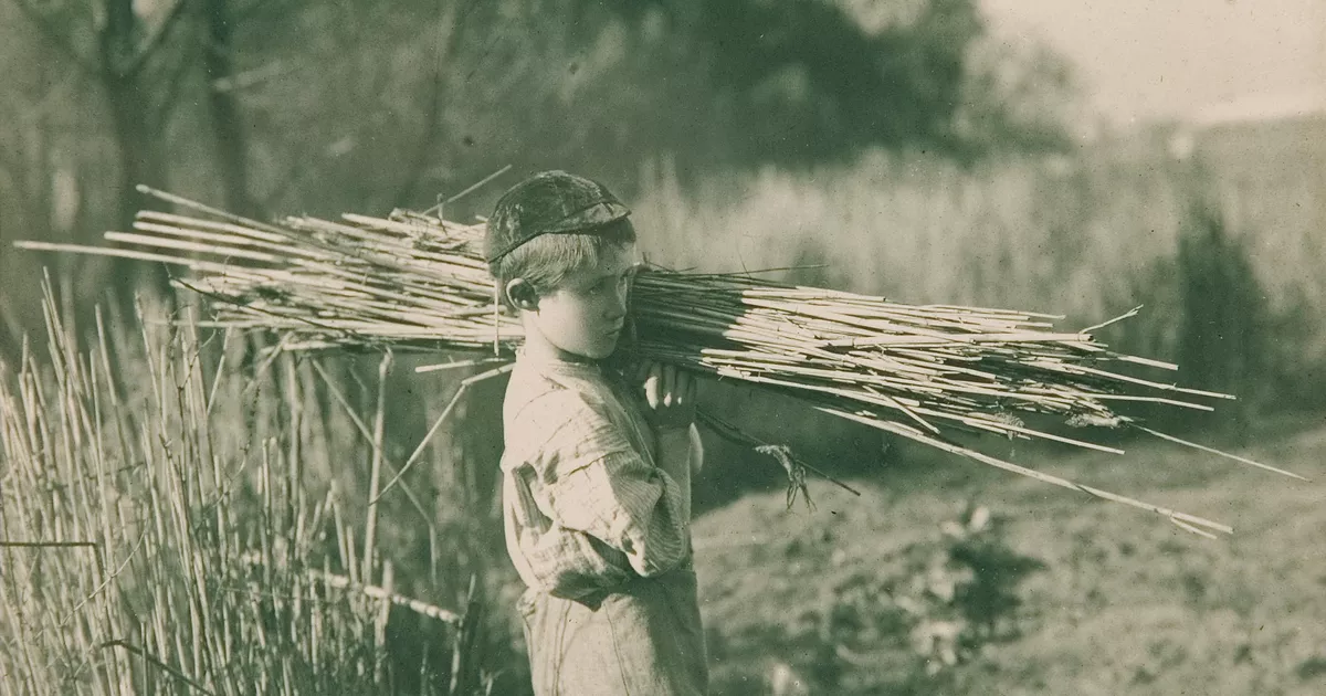 The reed gatherer - AGSA Collection