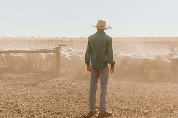 Outback Explorer Hero Image