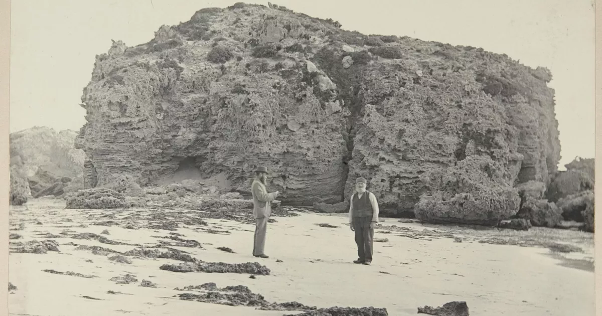 The Carpenter's Rocks - AGSA Collection