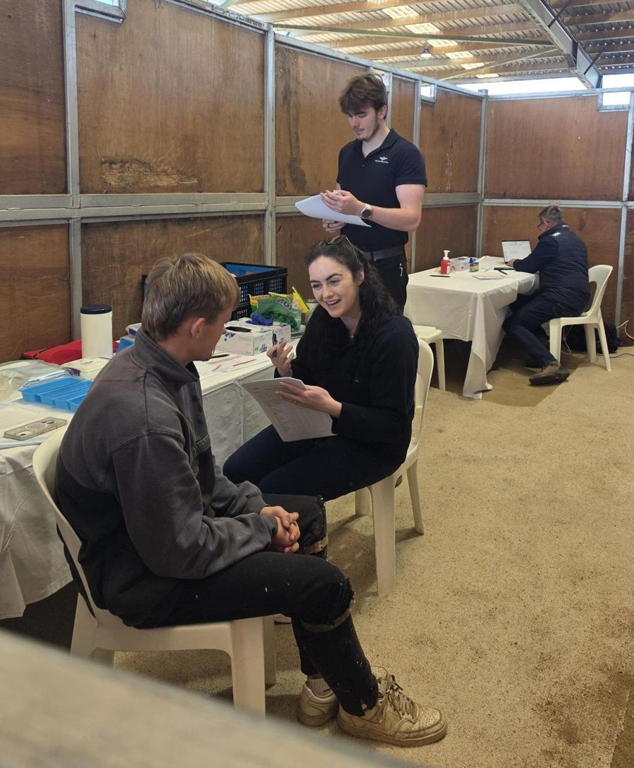 Shearing professional being screened