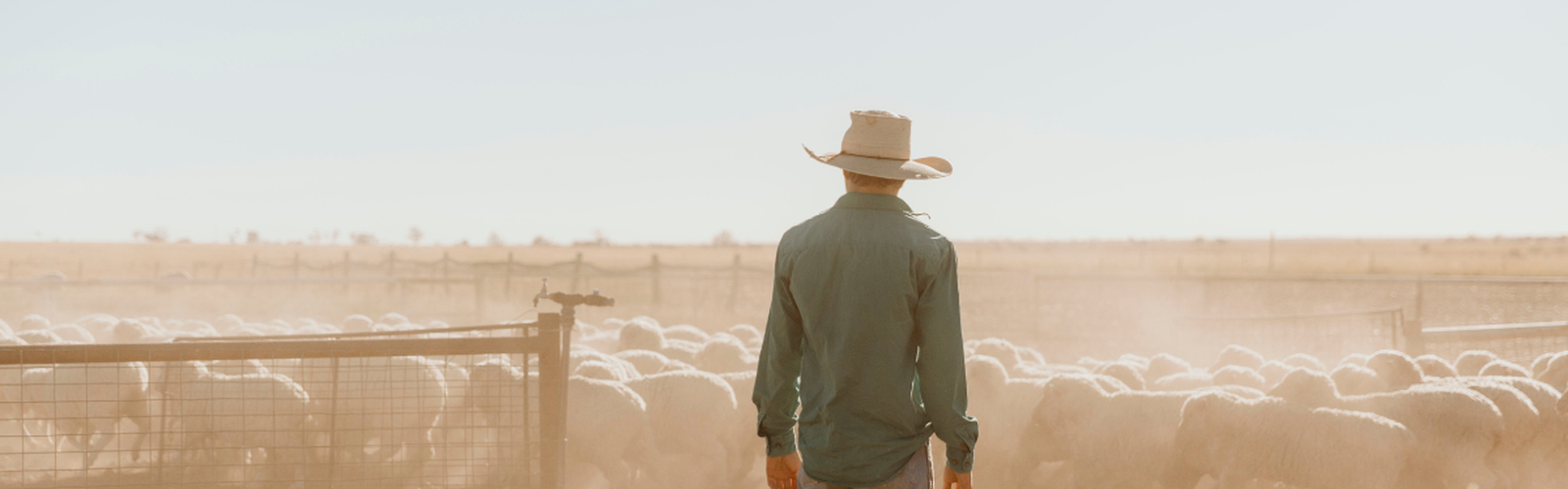 Outback Explorer Hero Image