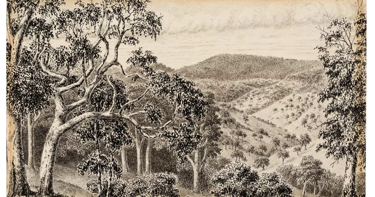 Adelaide Hills landscape - AGSA Collection