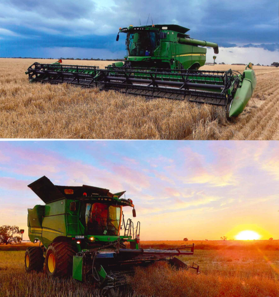 Harvest season