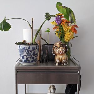 A sideboard with pot-plants and a chipped painted plaster dog