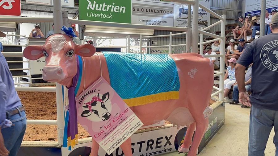 Clarabelle the cow