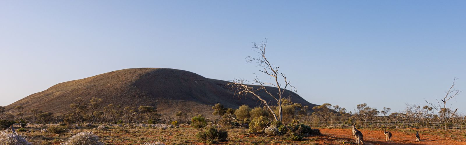 QUIZ: How well do you know the Australian outback>