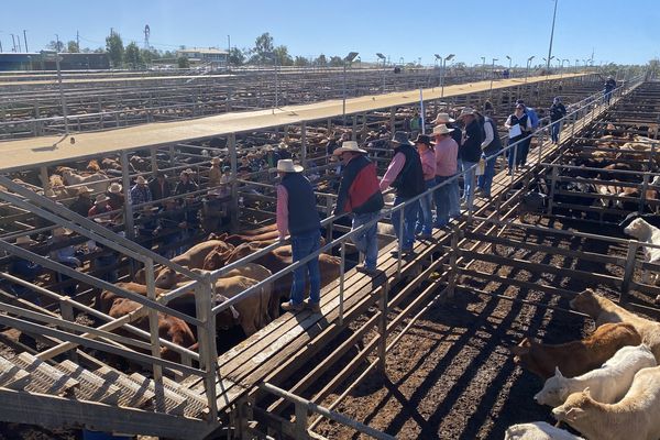 Donation made to RFDS