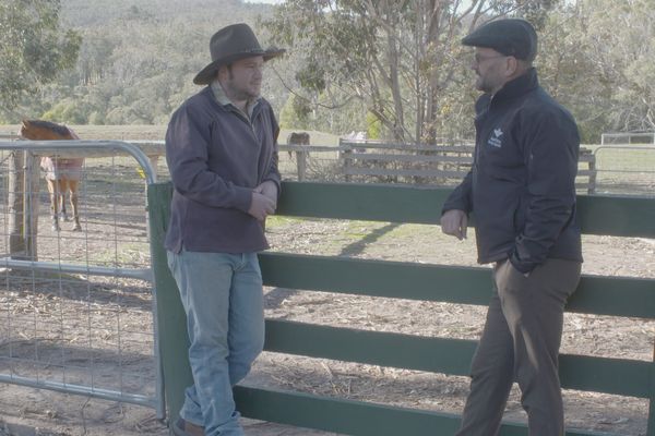 Mental Health in Victoria