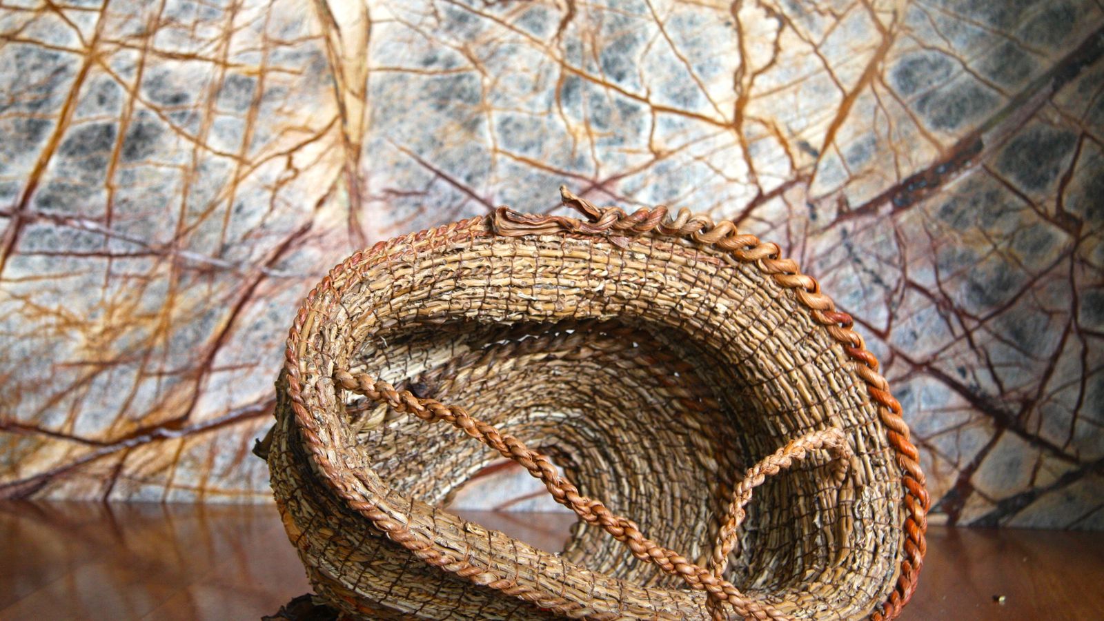 Nicole Robins basket