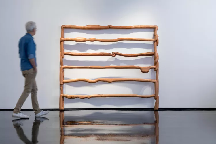 Finalist image for Elizabeth Willing: Bolus