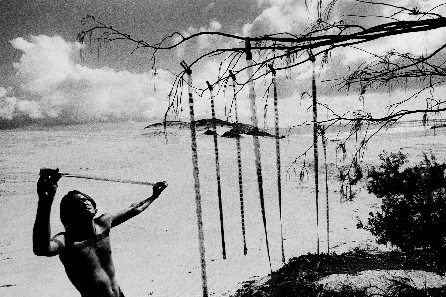 Trent Parke: The black rose - AGSA