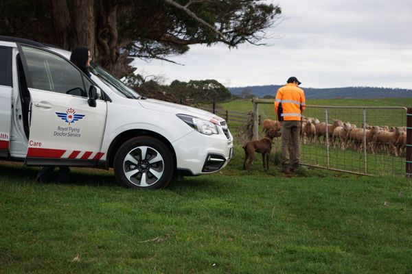 Nicole with Rhys and sheep