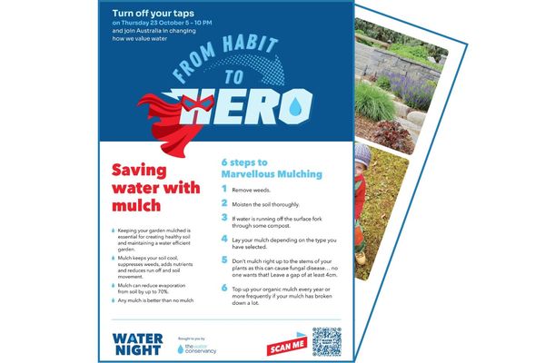Thumbnail for the Water Night 2025 Resource - Saving Water with Mulch Factsheet