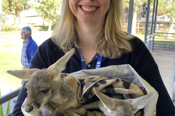 Support Women's Health