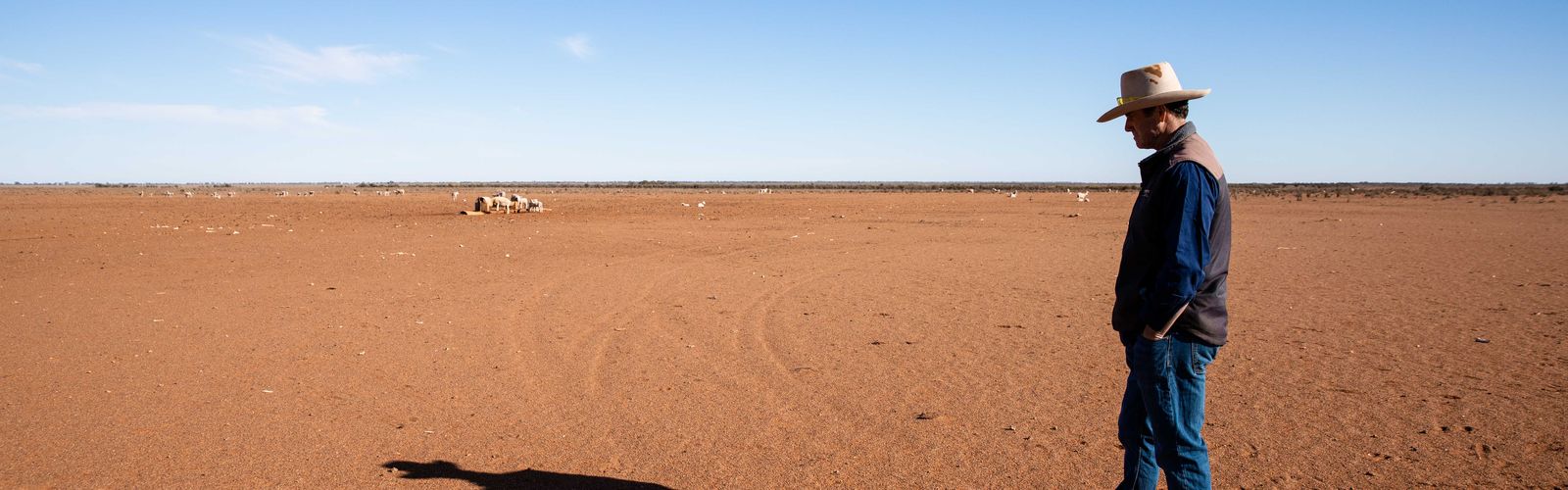 WGYB Champion, Brendan Cullen