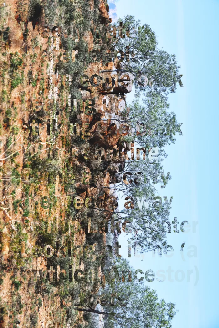 Tarnanthi - The Guildhouse Collections Project + City of Adelaide - AGSA