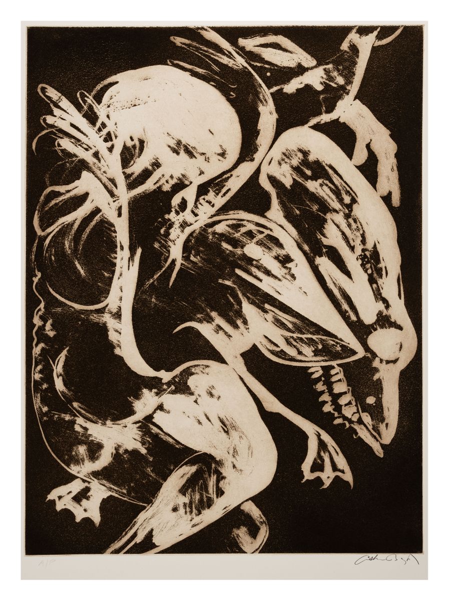 Image of Narcissus, skull and webbed bird