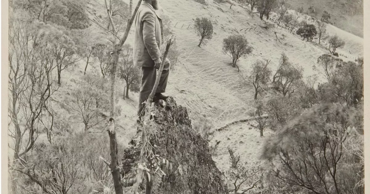 The monument, Spring Gully - AGSA Collection