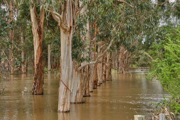 Flooding in rural area