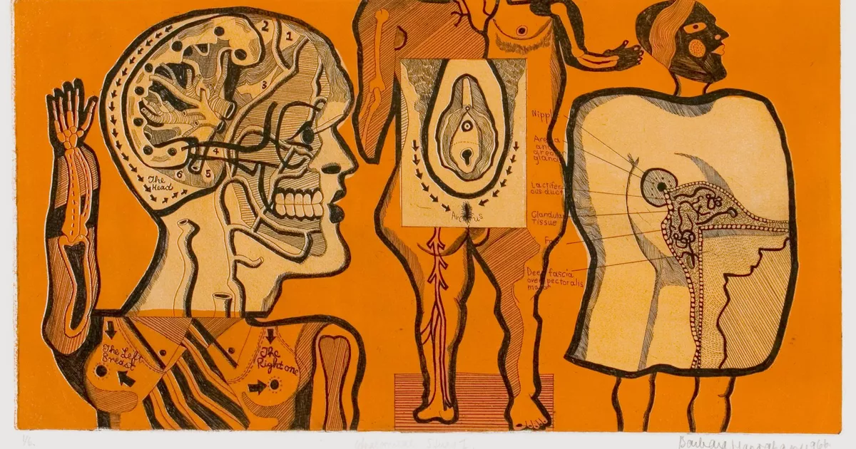 Anatomical Study I - AGSA Collection