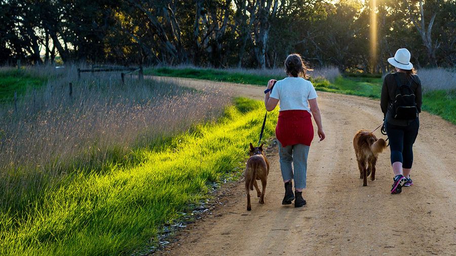 Take a Minute for Mental Health hero image
