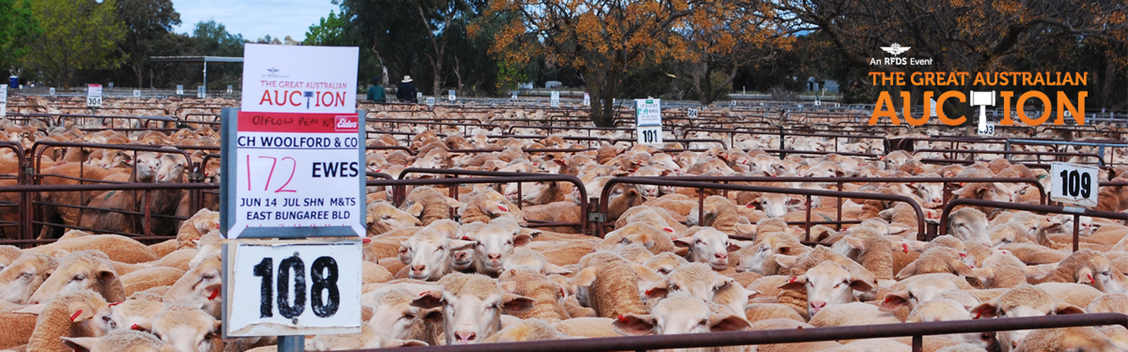 The Great Australian Auction