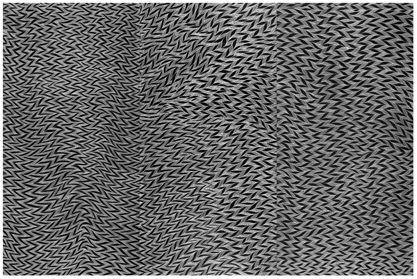 image detail: Gunybi Ganambarr, Yolŋu people, Northern Territory, born 1973, Yirrkala, Northern Territory, Darra, 2019, Yirrkala, Northern Territory, etching on aluminium, 450.0 x 300.0 cm; Kerry Stokes Collection, Perth © Gunybi Ganambarr/Buku-Larrŋgay Mulka Centre, photo: Saul Steed.