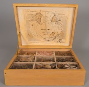 Image of Paarintji specimen box