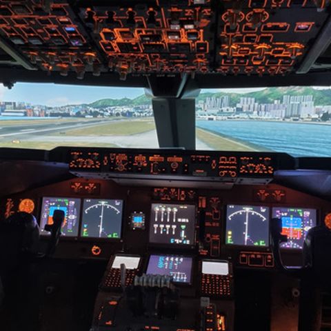 Pilots take a virtual trip around the world to show support 