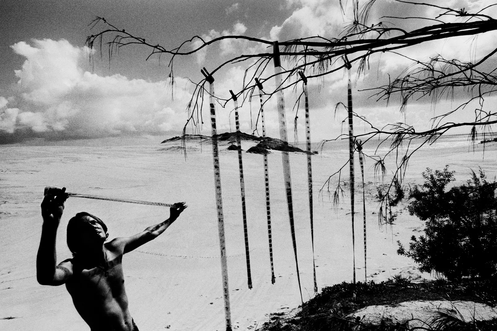 アート・デザイン・音楽 The Black Rose / Trent Parke Trent Parke: The Black Rose - Artlink