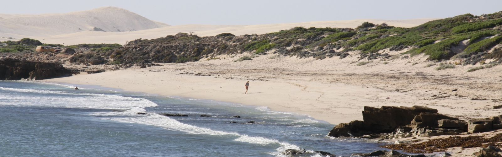A group of people stand under a basic beach shelter. They are all smiling at the camera. 