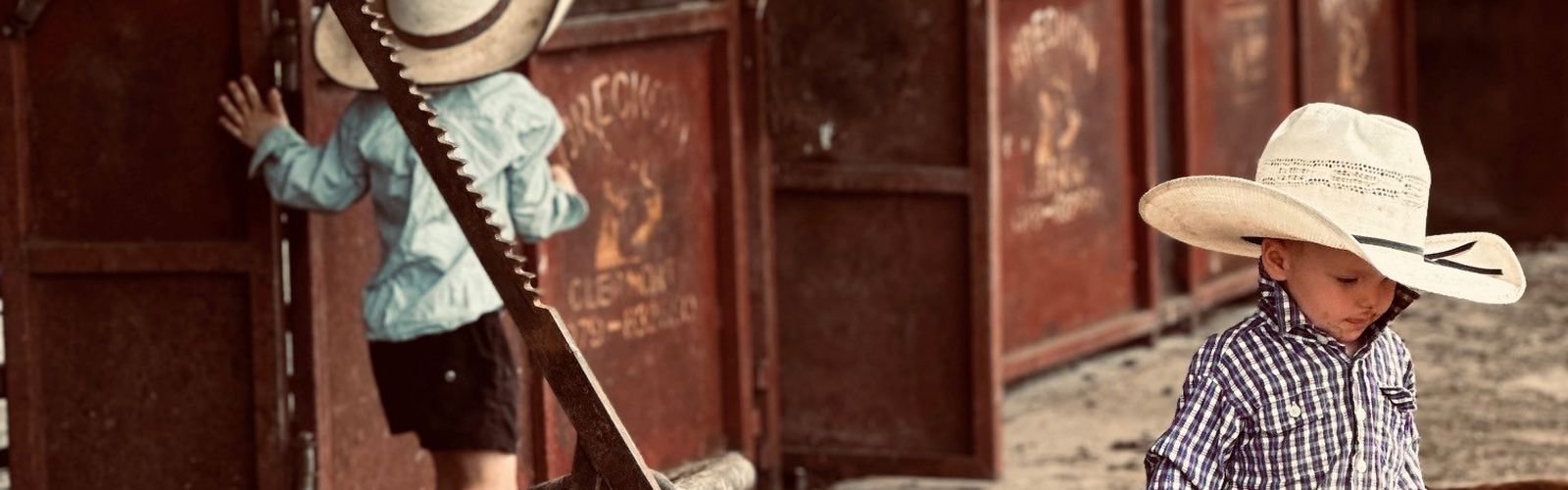 paige hetherington and her boys