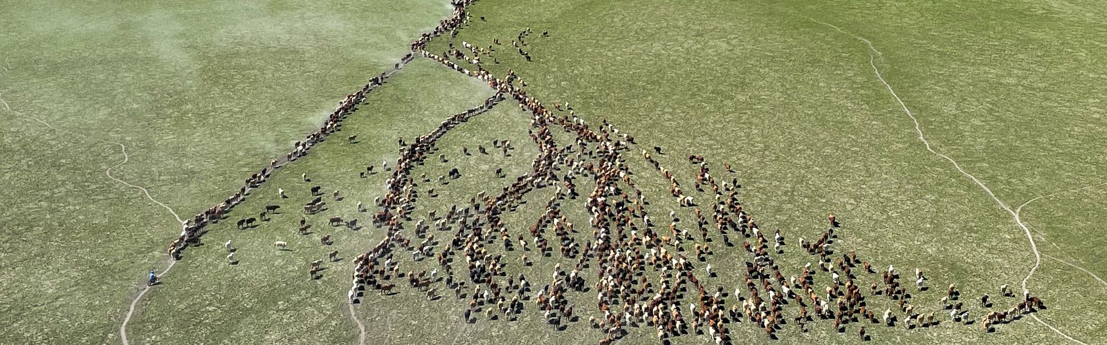 In hot water: Louis' story