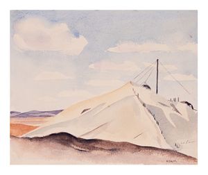Image of View of the skimps