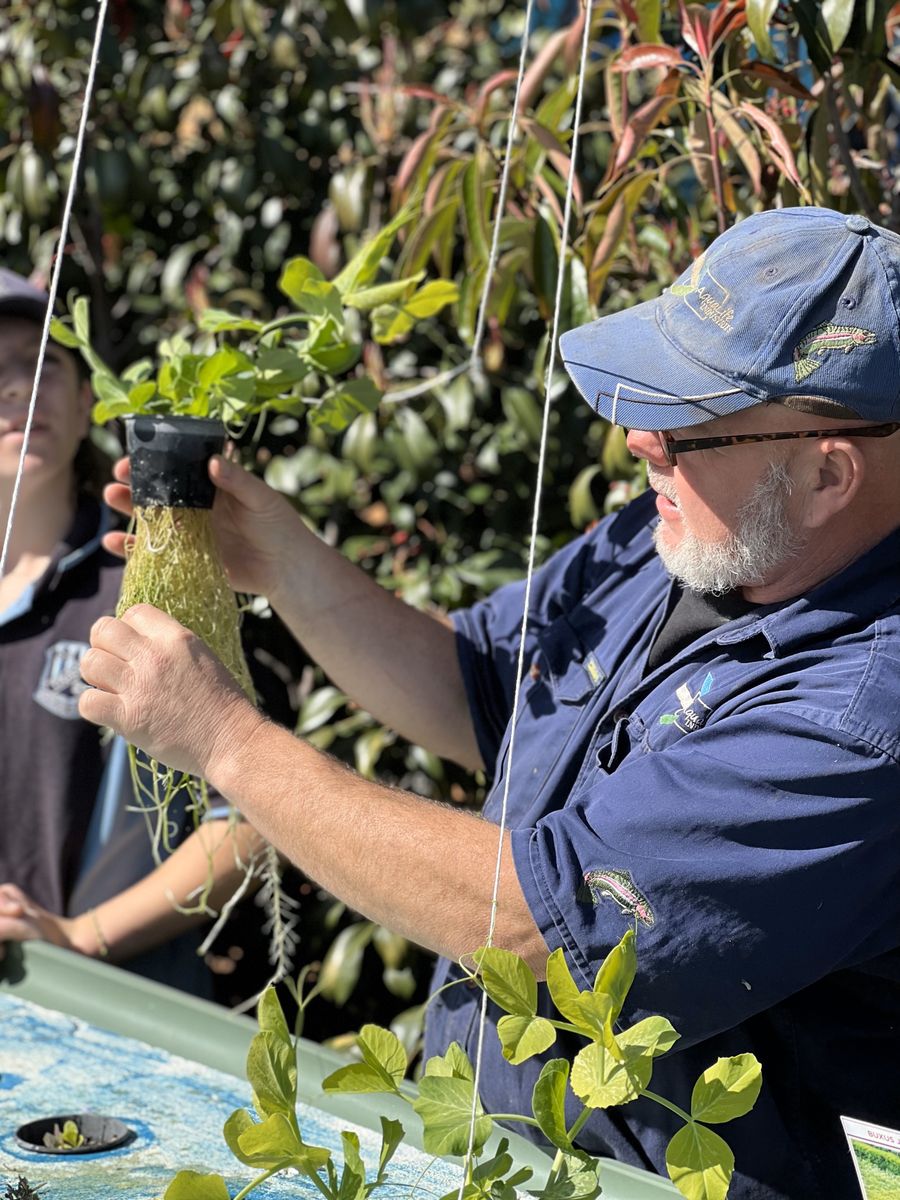 RFDS's aquaponics with students 