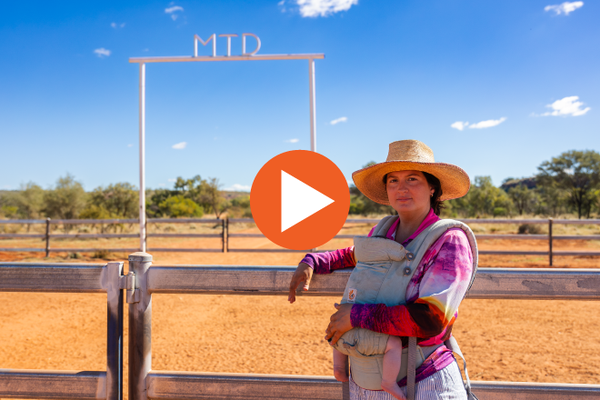 An outback nightmare at Mt Doreen Station